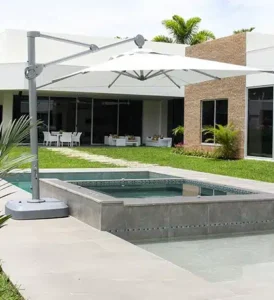 introduccion-sombrilla-palma